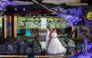 都市型水族館とコラボのフォトプラン【ホテルオークラ神戸】