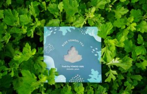 車椅子利用者でも着られる着物【日本介護システム】