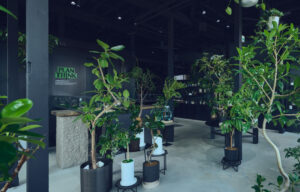 植物の専門店 ブーケ受注も【セレモサプライ】